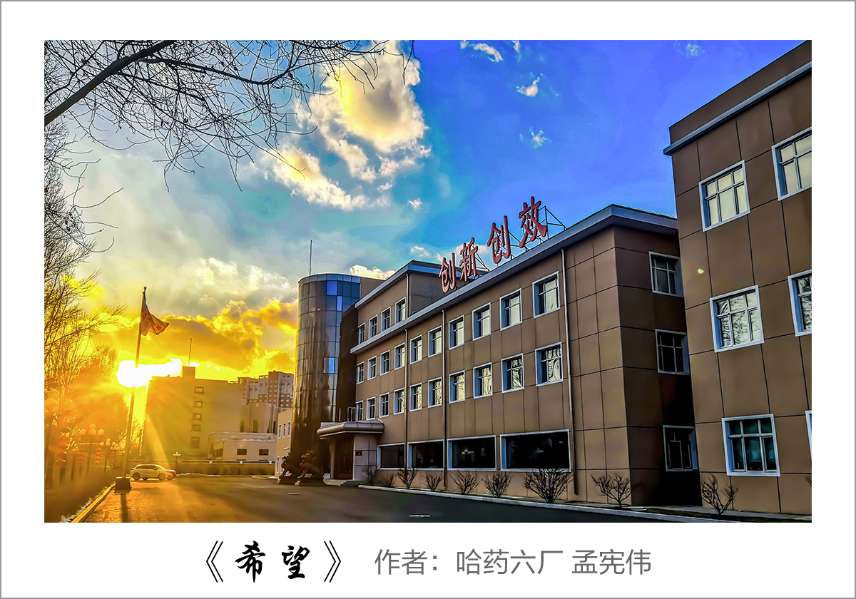 【迎国庆 展风采】我眼中的亿万先生mr——职工摄影大赛作品展示！